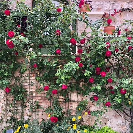 Grande Kalkan * Kaş